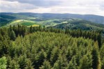 1 Dose Frische Thringer Wald / Rostbratwurst Luft