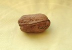 ECHTE Walnuss mit "Inschrift Allahs/ REAL walnut with the "inscriptions Al