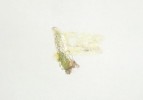 Insektizider Suizid - ein Kunstwerk meines Mrderlaserdruckers